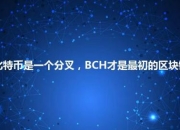 “比特币是一个分叉，BCH才是最初的区块链”